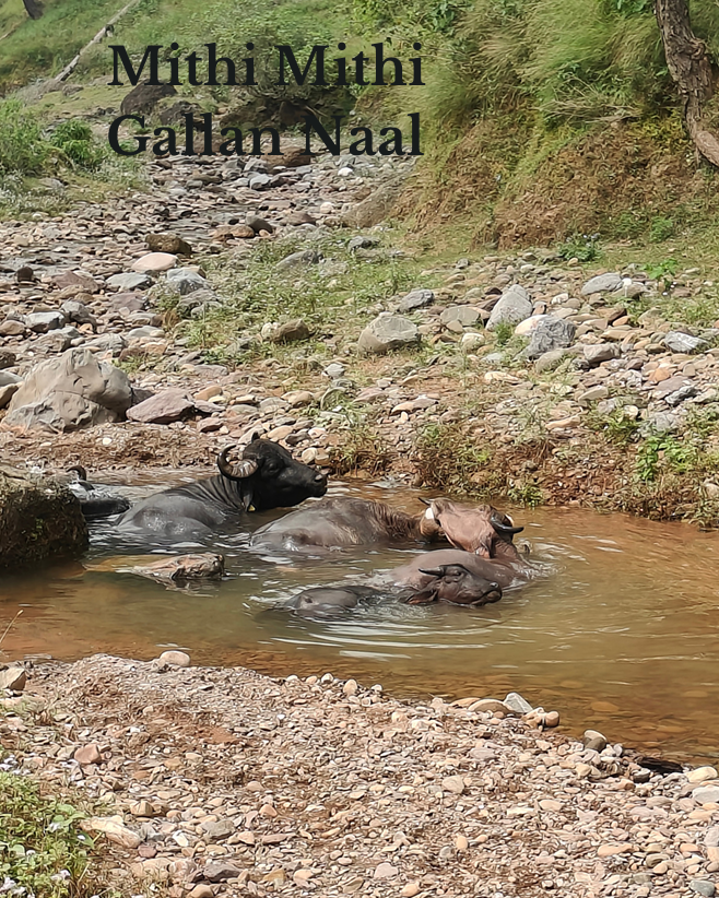 MITHI MITHI GALLAN NAAL MITHI MITHI GALLAN NAAL