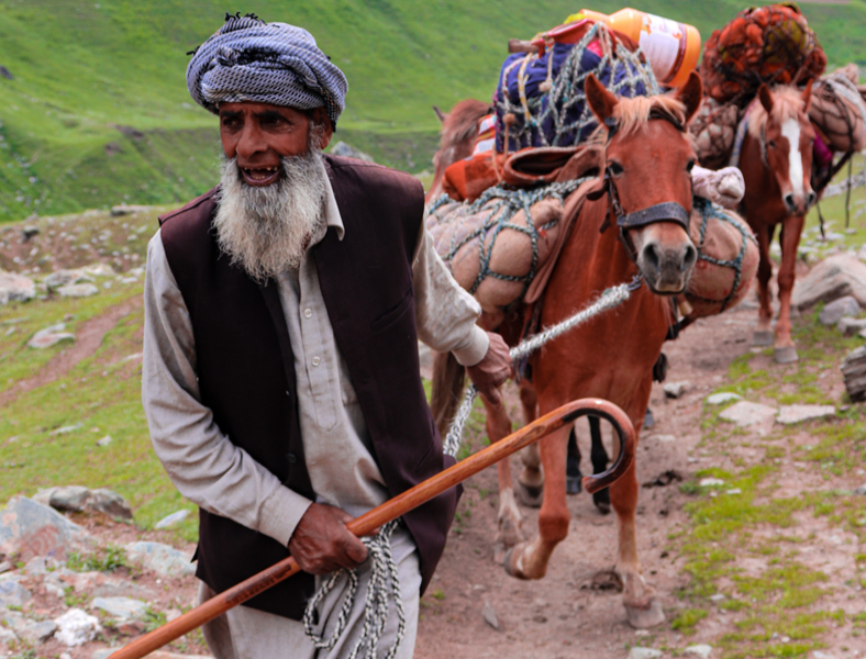 COMMUNITARIAN LIFE OF GUJJAR-BAKARWAL TRIBES COMMUNITARIAN LIFE OF GUJJAR-BAKARWAL TRIBES