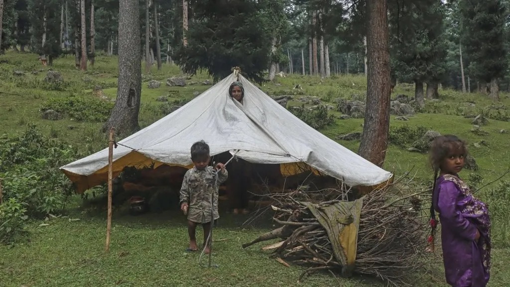 Bakarwal Tribe Bakarwal Tribe