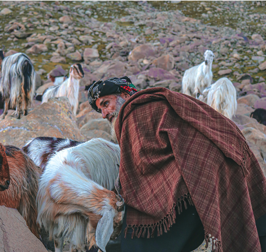 BAKARWAL TRIBE BAKARWAL TRIBE