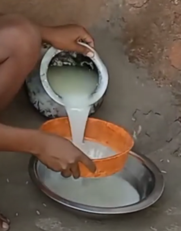 Rice fermented for making Handia Rice fermented for making Handia