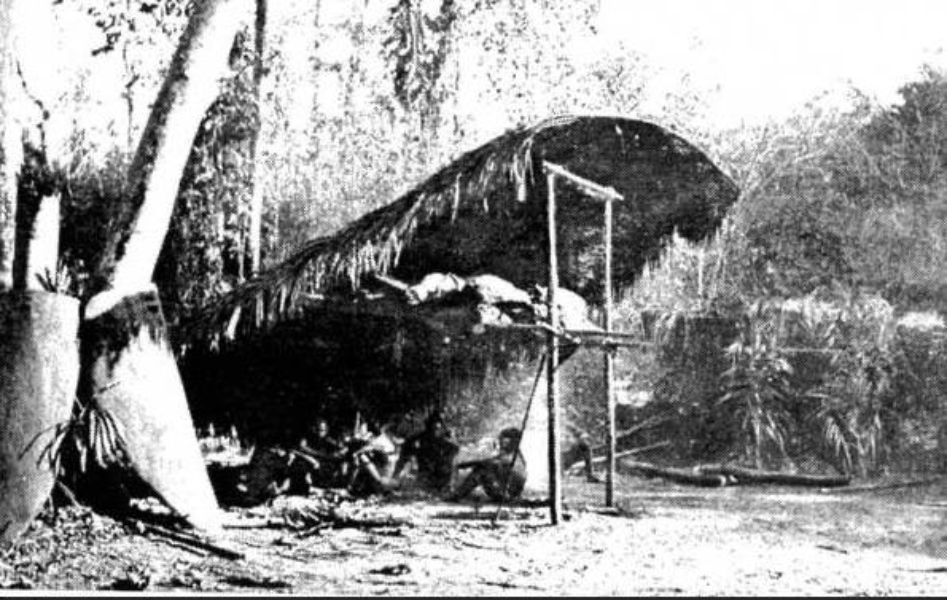 Great Andamanese Tribe Great Andamanese Tribe