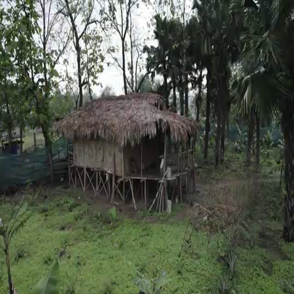 Nyishi tribe’s Ecological Knowledge Nyishi tribe’s Ecological Knowledge