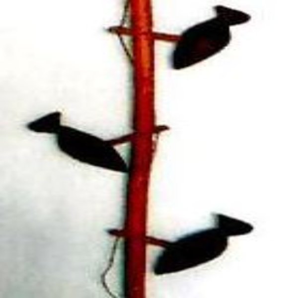 Rabha tribe craftsmanship