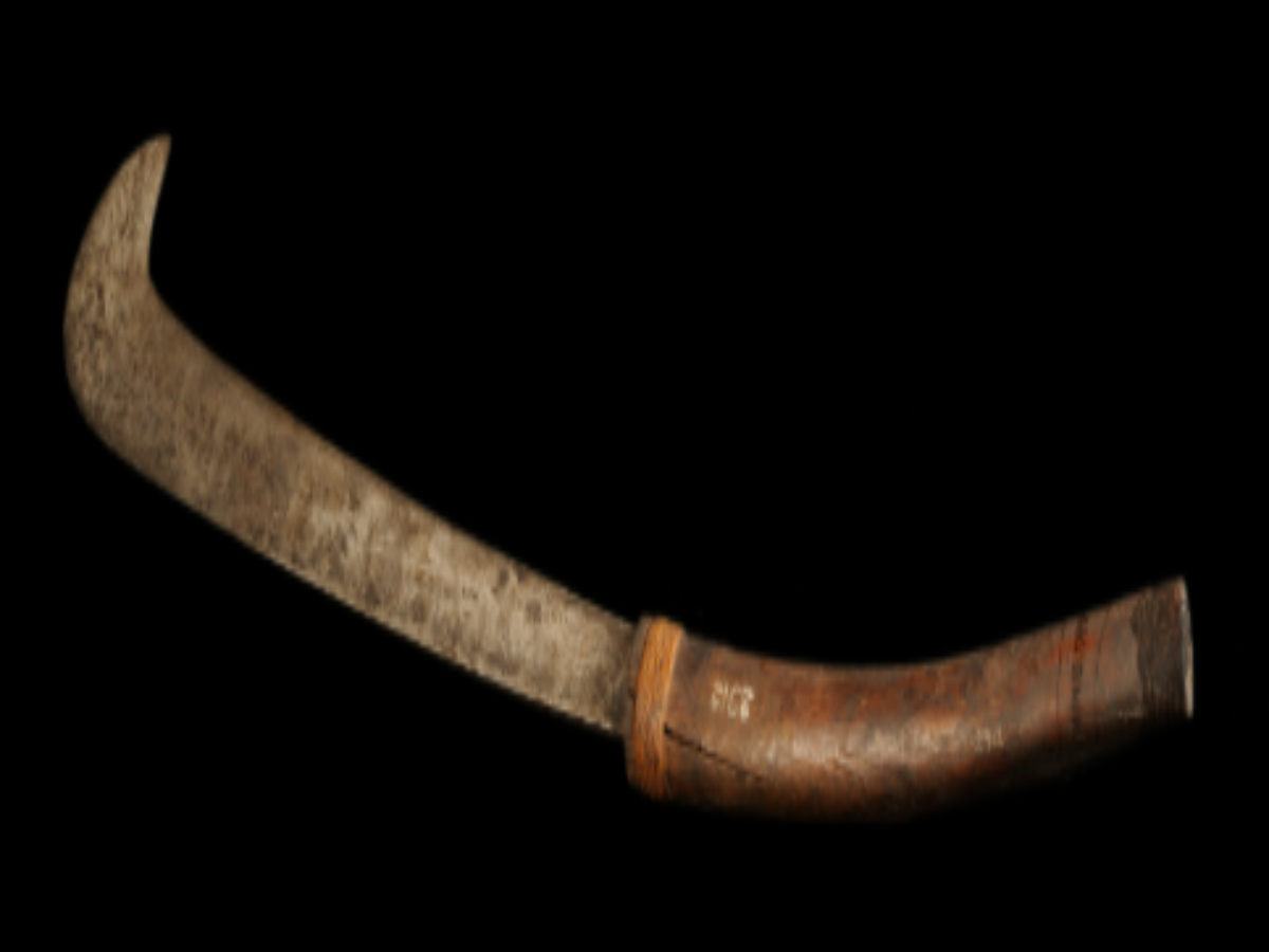 Bill-Hooked Dao Traditional Tool of the Cachari Tribe Bill-Hooked Dao Traditional Tool of the Cachari Tribe
