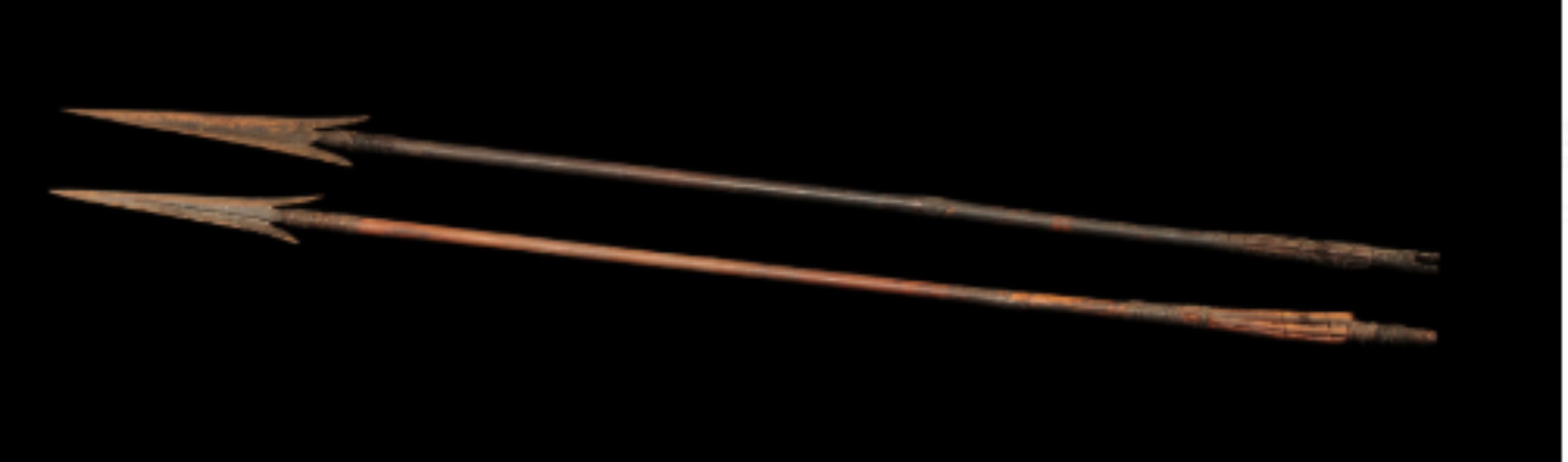 Omm of Bonda Tribe Arrows