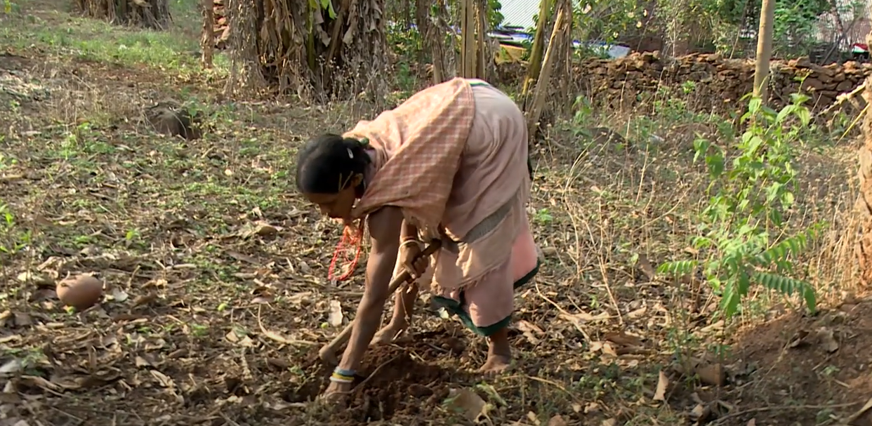 Dongria Kondh’s Communitarian Life Dongria Kondh’s Communitarian Life