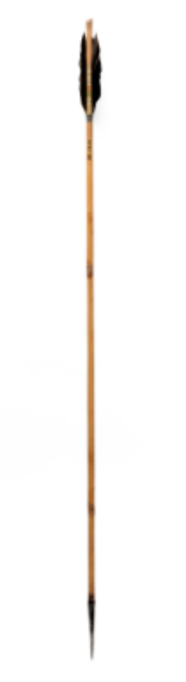 Bamboo arrow Bamboo arrow