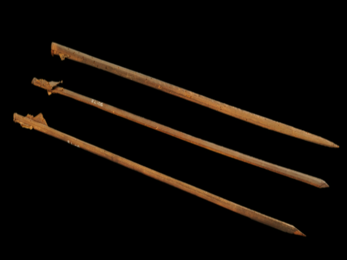 Traditional Bird-Hunting Arrows Traditional Bird-Hunting Arrows