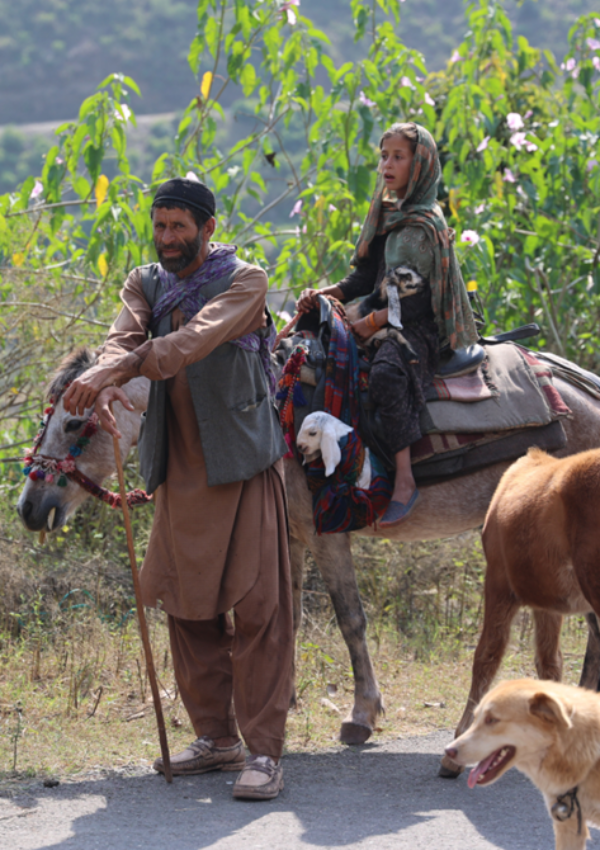 Agriculture Practices by Gujjar Tribe Agriculture Practices by Gujjar Tribe