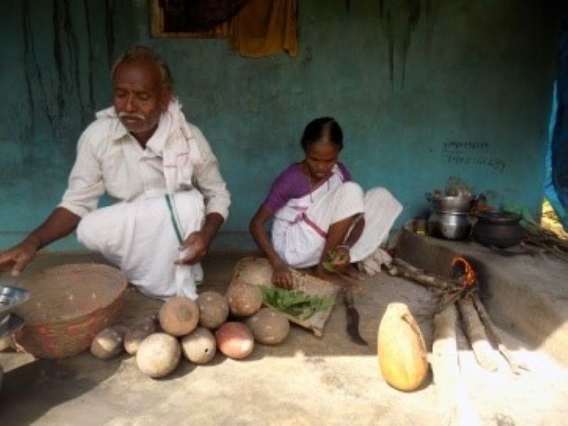 Kattunayakan Tribe Livelihood Kattunayakan Tribe Livelihood