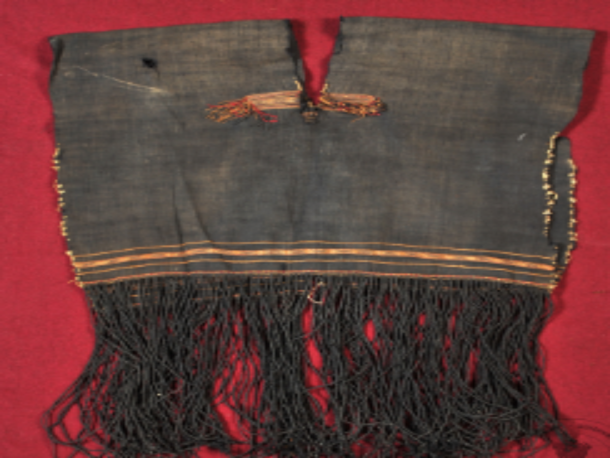 Coat Used by Males Coat Used by Males