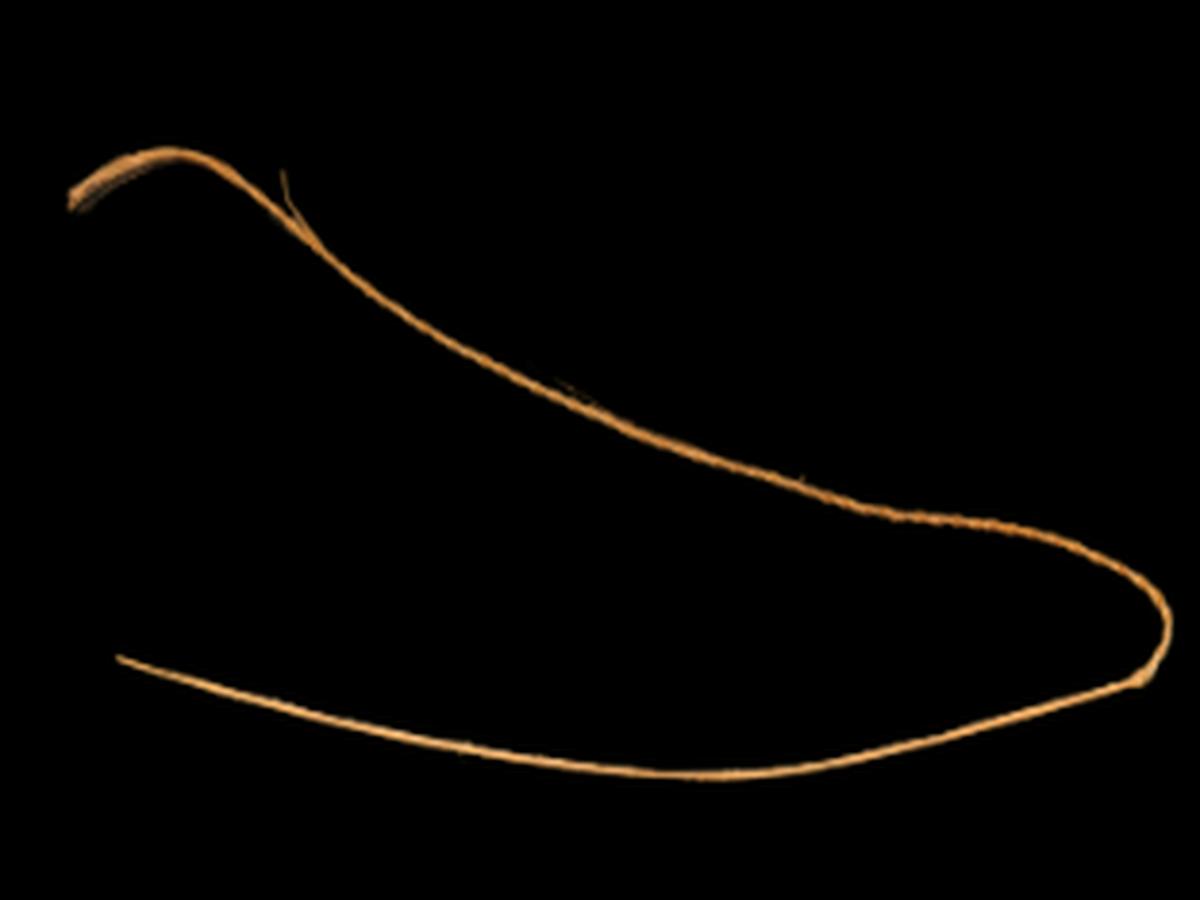 Bamboo Stitching Needle Bamboo Stitching Needle