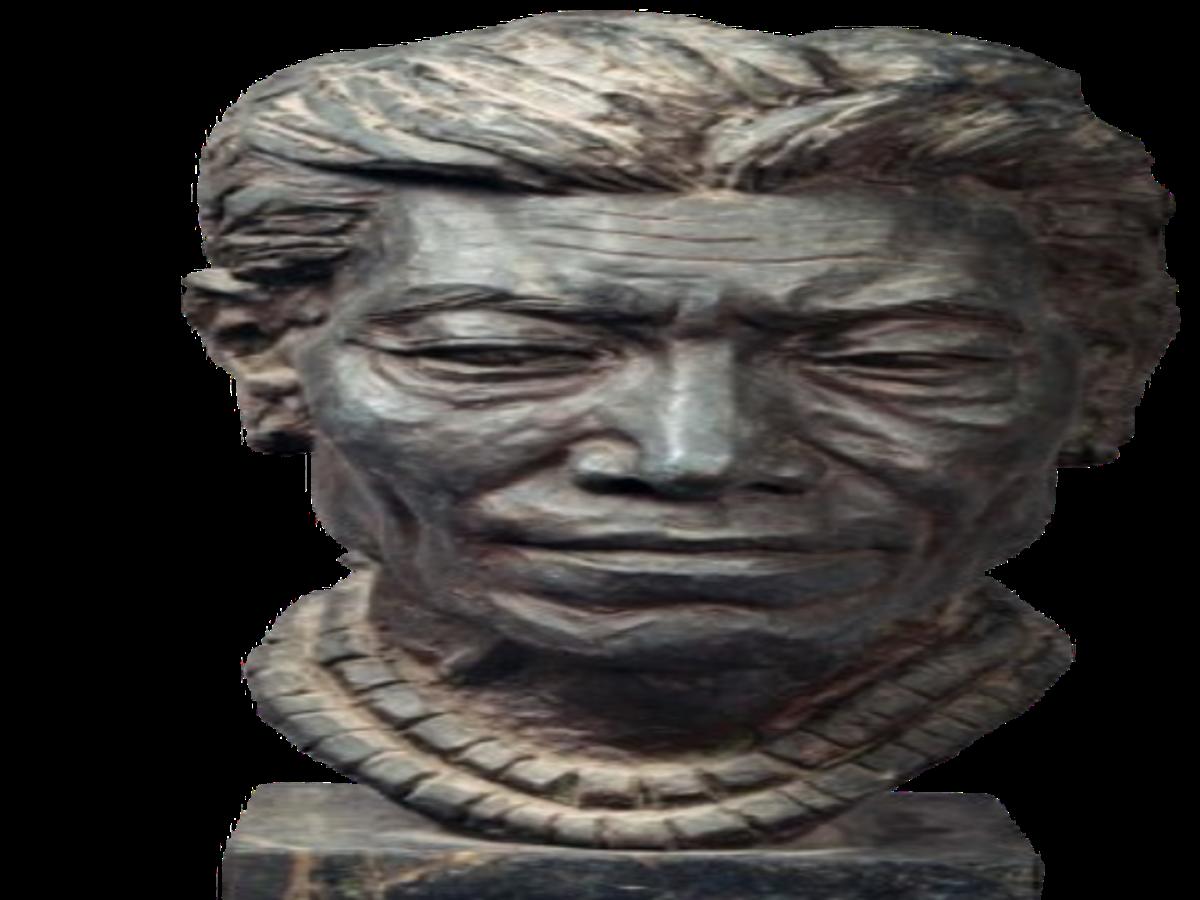 Bust of Angami Naga Male