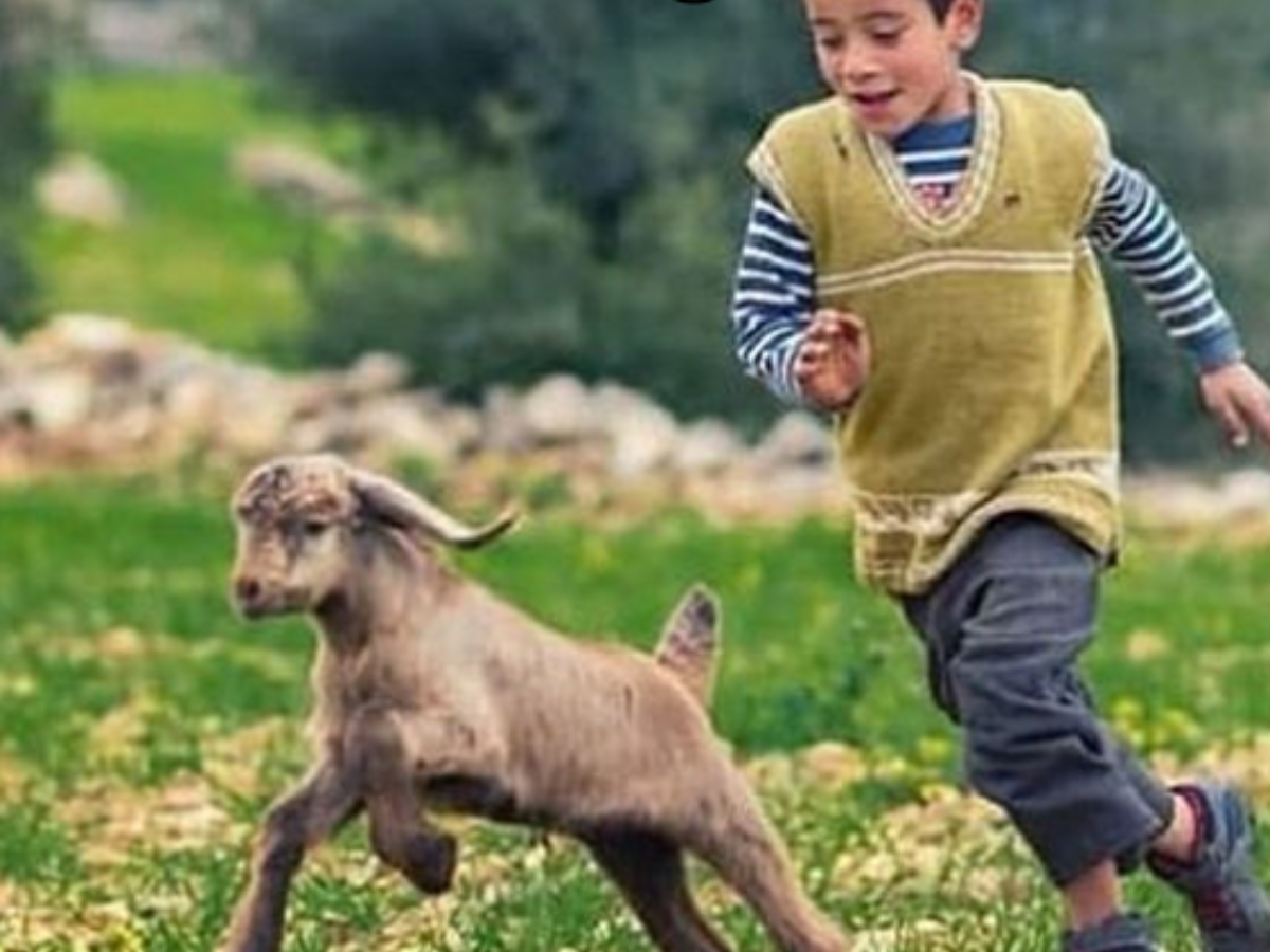 GADDI AYII RAWALAKOT GI GADDI AYII RAWALAKOT GI