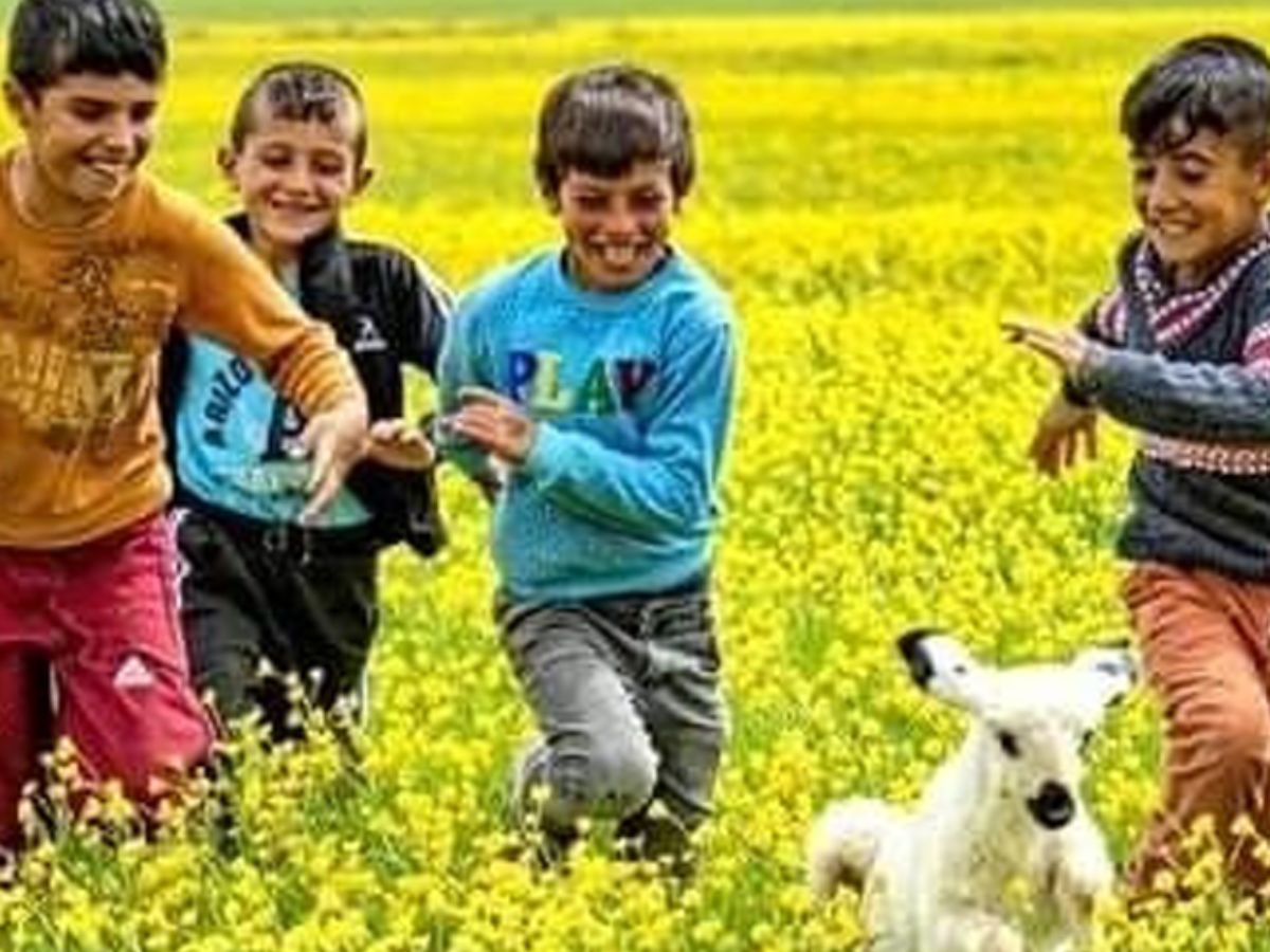KUKU JI DE BAGAN VICH KUKU JI DE BAGAN VICH
