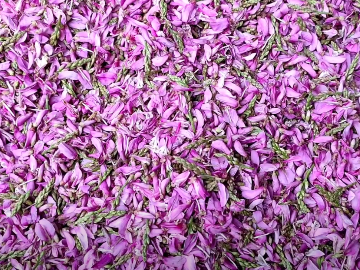 Ingredients of Curry of Jeerhol Flower Ingredients of Curry of Jeerhol Flower