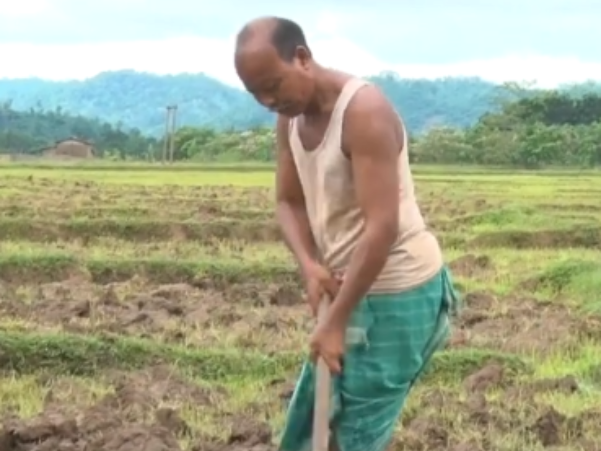 Upendra Rabha & Black Rice Cultivation Upendra Rabha & Black Rice Cultivation