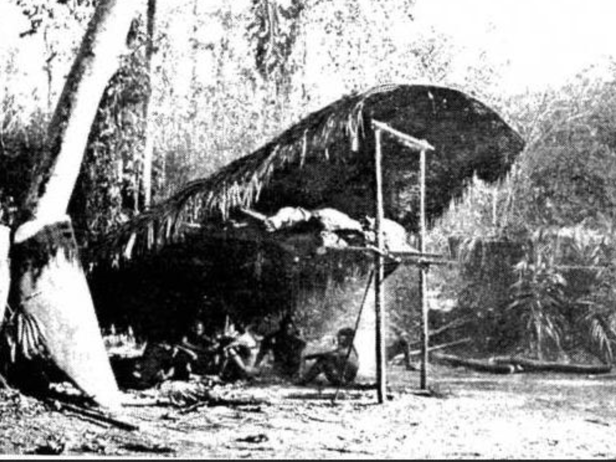 Great Andamanese Tribe Great Andamanese Tribe