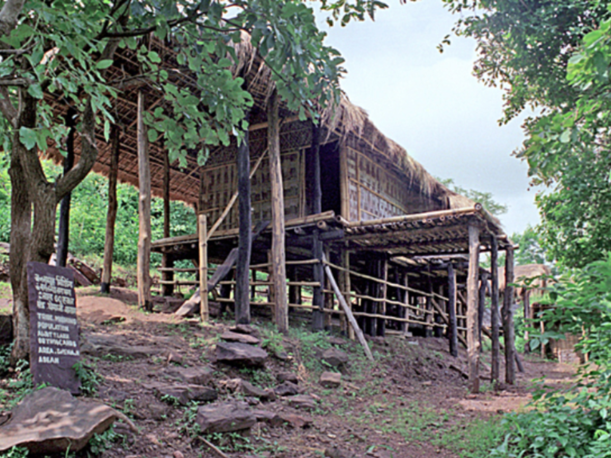Mishing Homes: Assam’s Floating Heritage