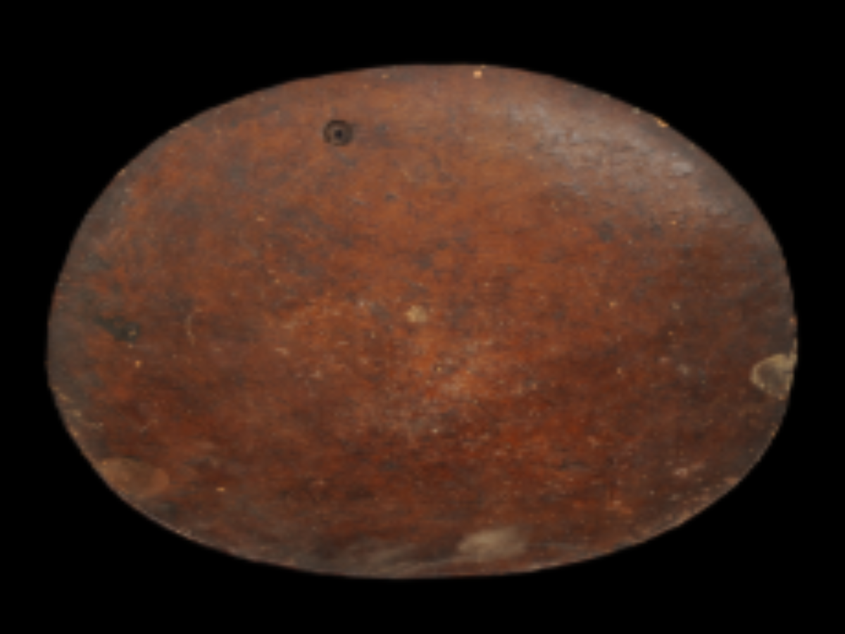 Shallow Wooden Dish