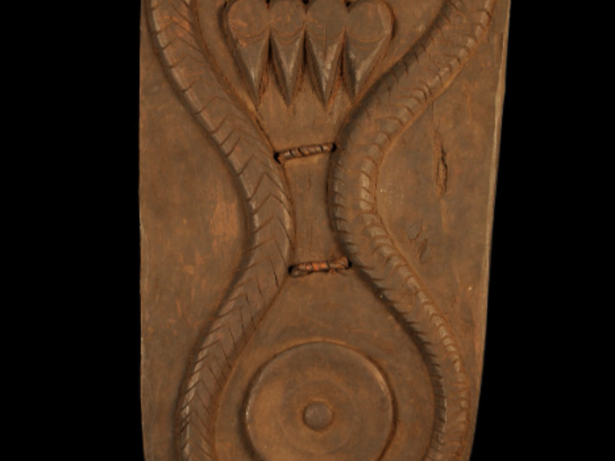 Shield Wooden Defense Tool of Sema Naga Tribe