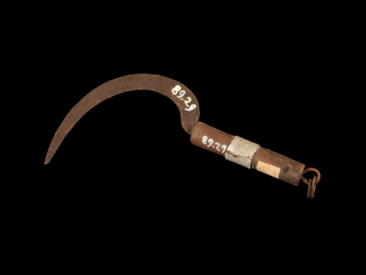 Traditional Iron Knife of the Bonda Tribe Traditional Iron Knife of the Bonda Tribe