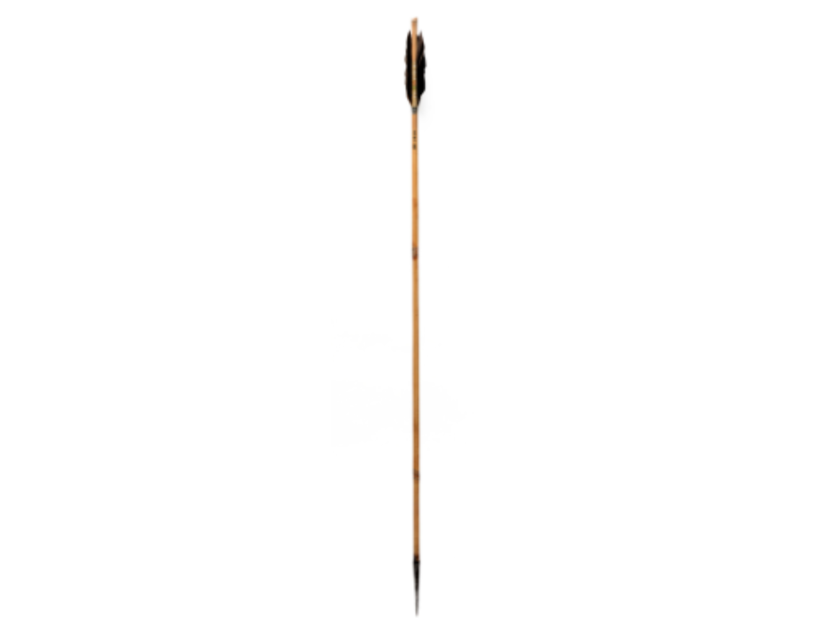 Bamboo arrow Bamboo arrow