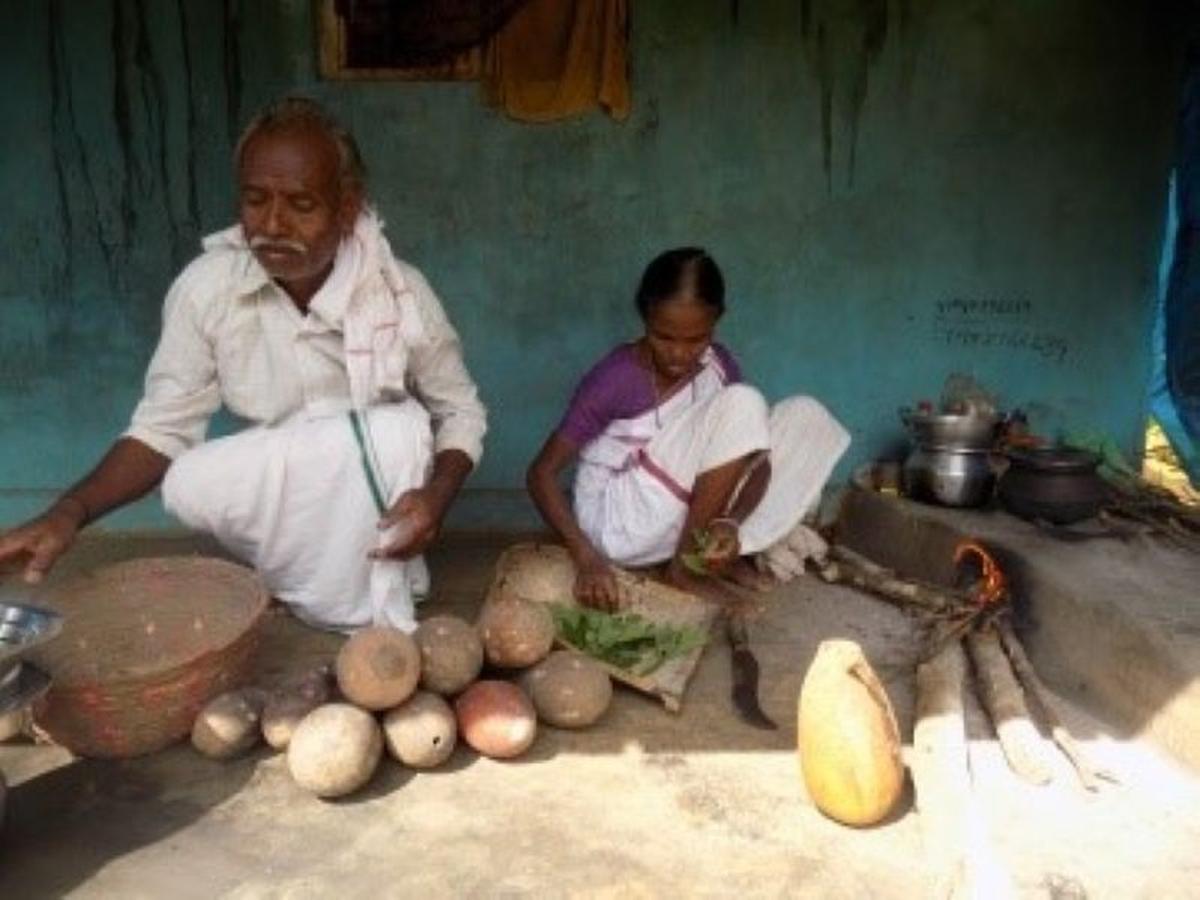 Kattunayakan Tribe Livelihood Kattunayakan Tribe Livelihood
