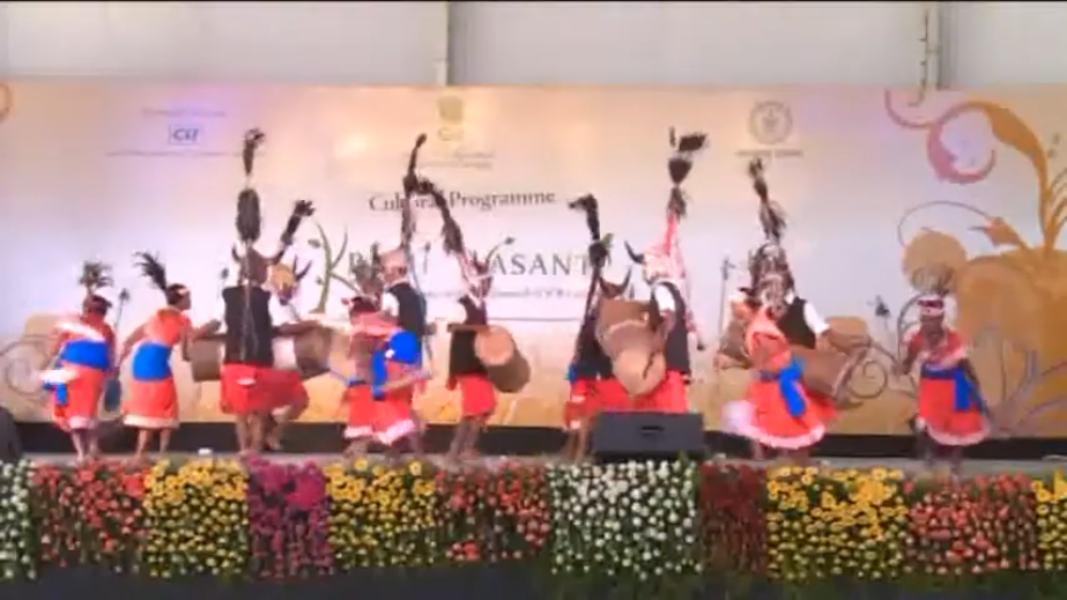 Gaur Madia Dance Gaur Madia Dance