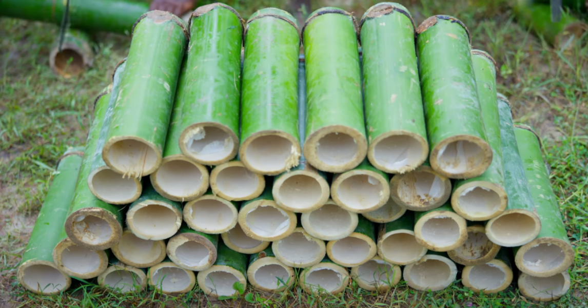 Bamboo used as a cooking vessel Bamboo used as a cooking vessel