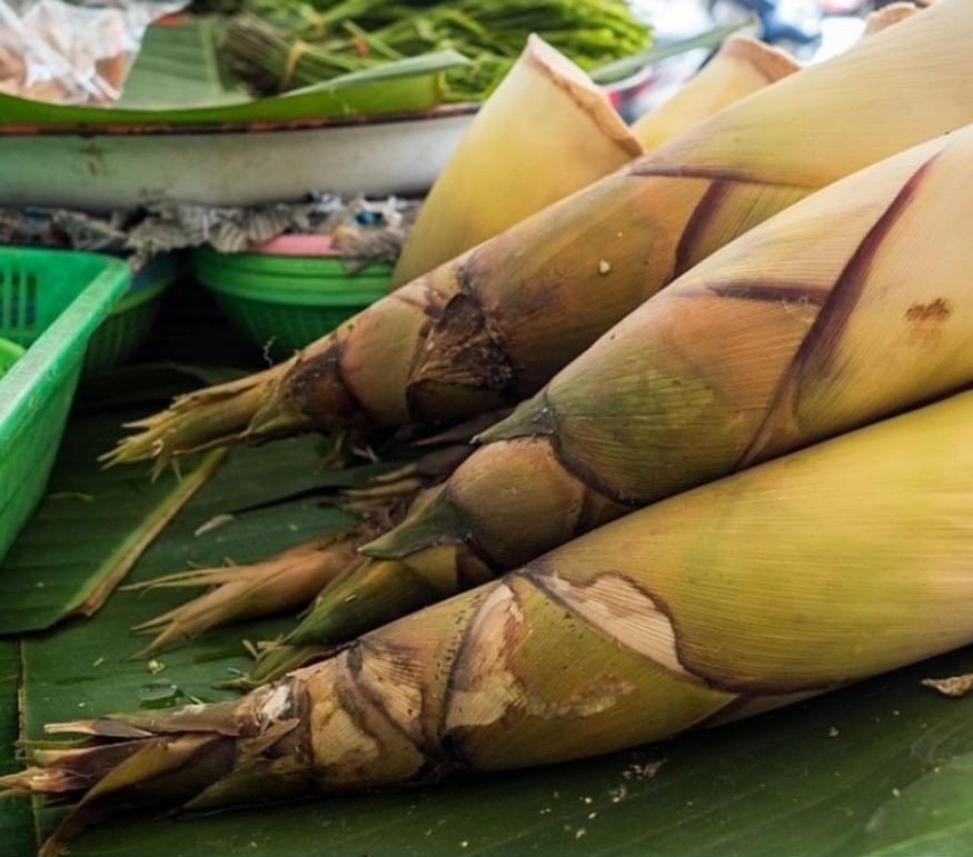 Bamboo Shoot Bamboo Shoot