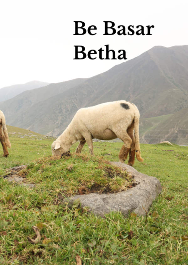 Be Basar Betha Be Basar Betha