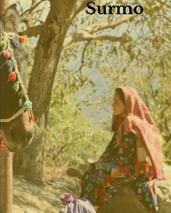 Kashmiri Woman Kashmiri Woman