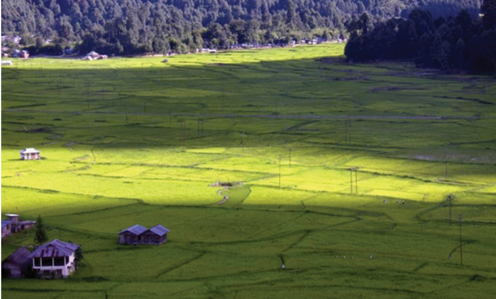 Arunachal fields Arunachal fields