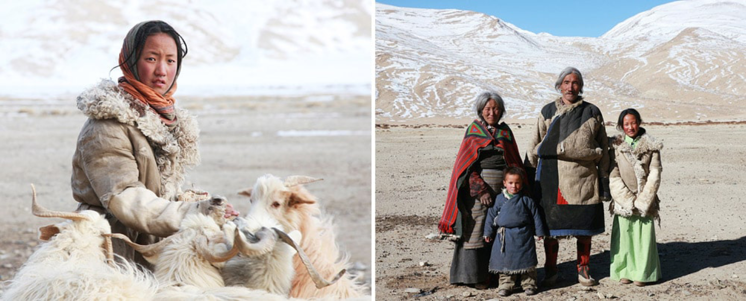 Kos-kar on Changpa Tribals Kos-kar on Changpa Tribals