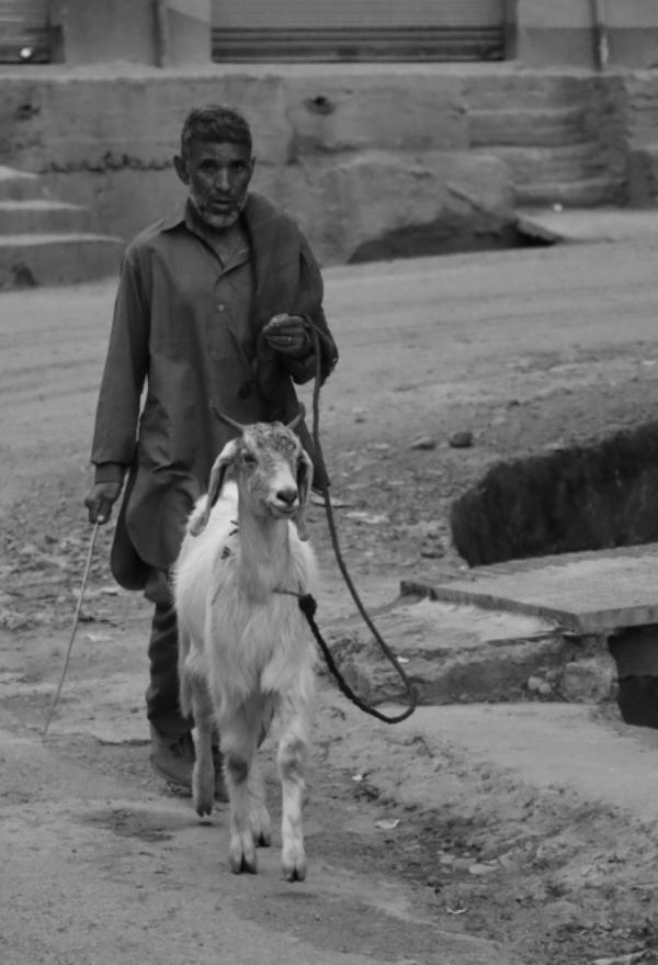 Gujjar Man Gujjar Man