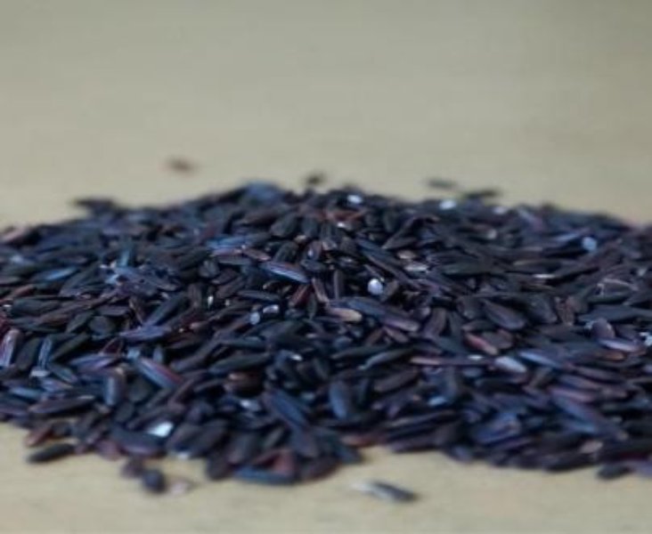 Expansion of Black Rice Cultivation Expansion of Black Rice Cultivation
