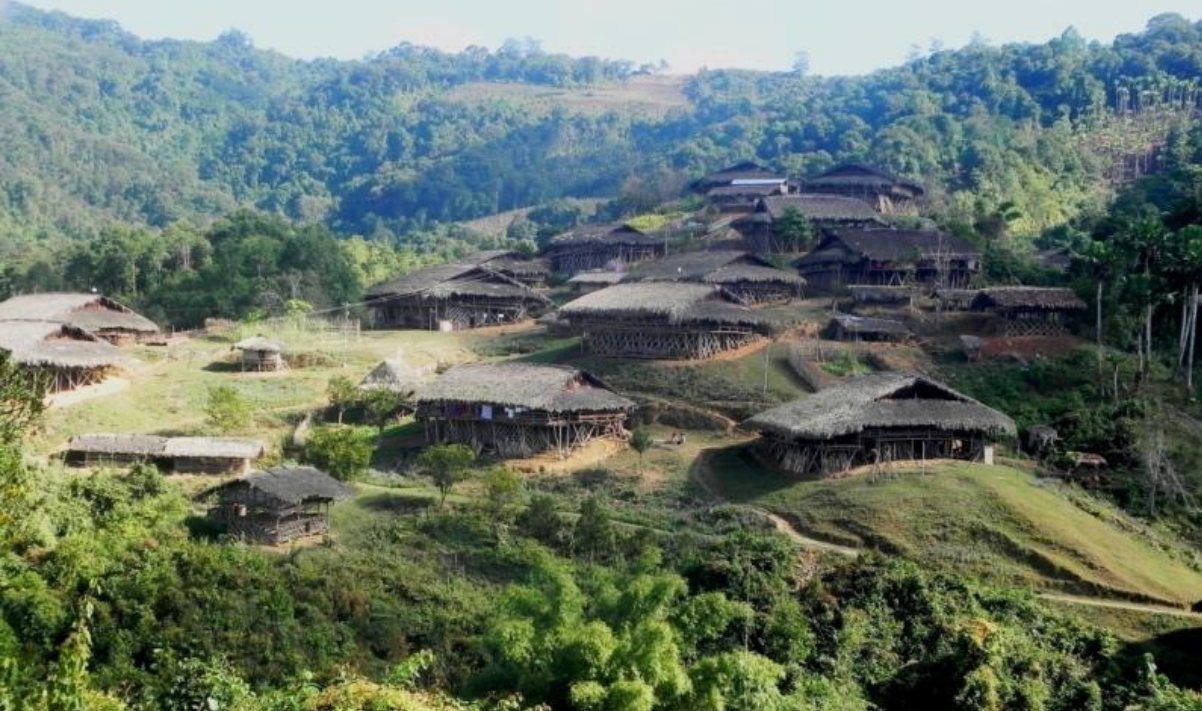 Forest of Arunachal Forest of Arunachal