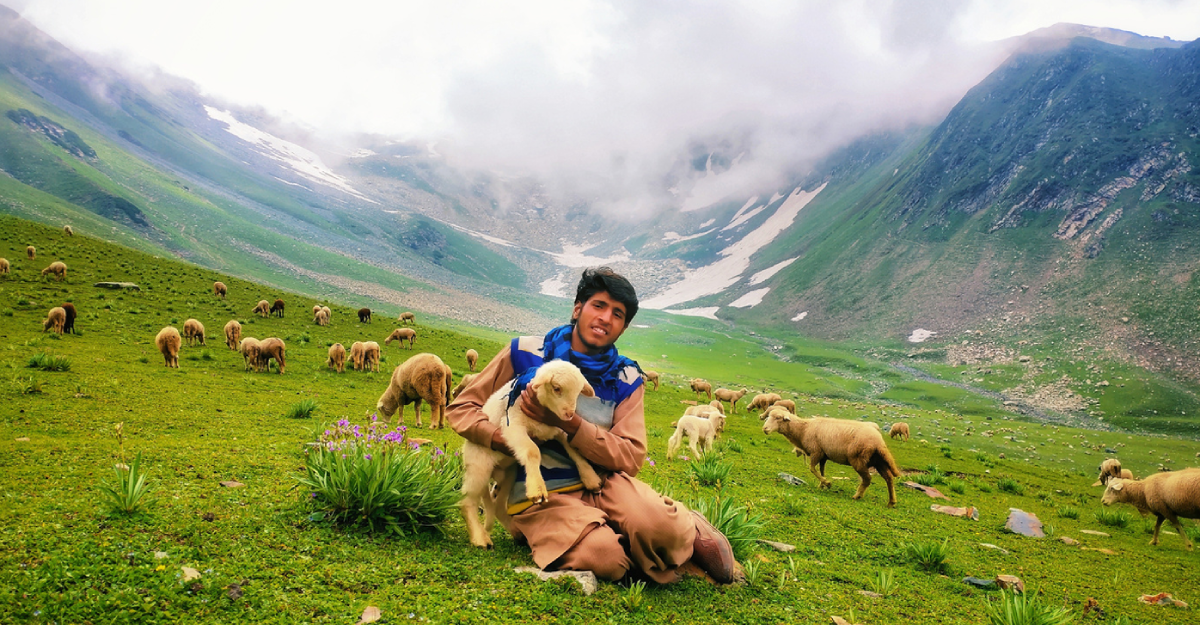Gujjar Bakarwal Tribal Gujjar Bakarwal Tribal