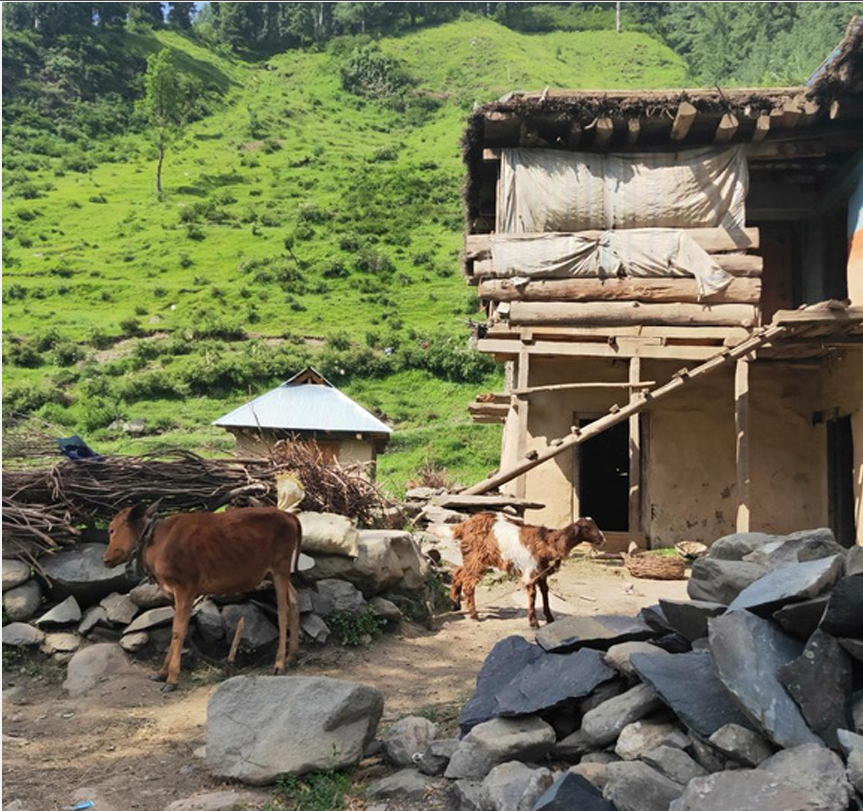Gujjar-Bakarwal Housing Gujjar-Bakarwal Housing