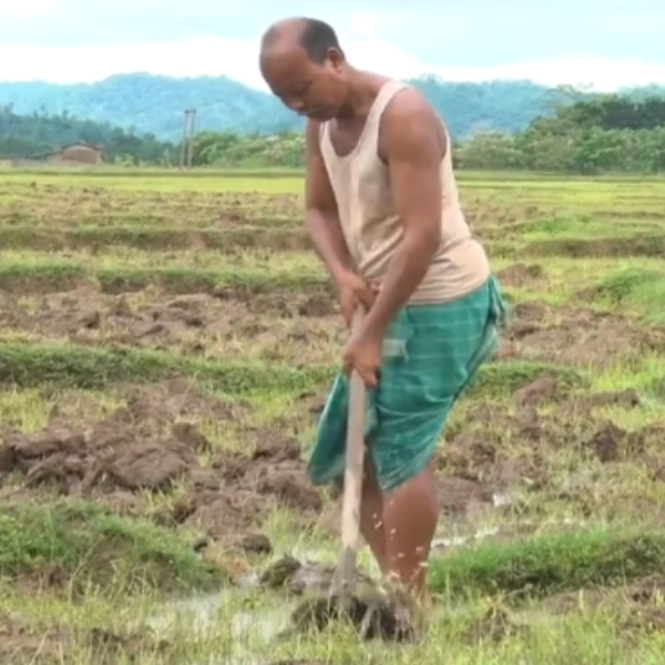 Upendra Rabha in a field Upendra Rabha in a field