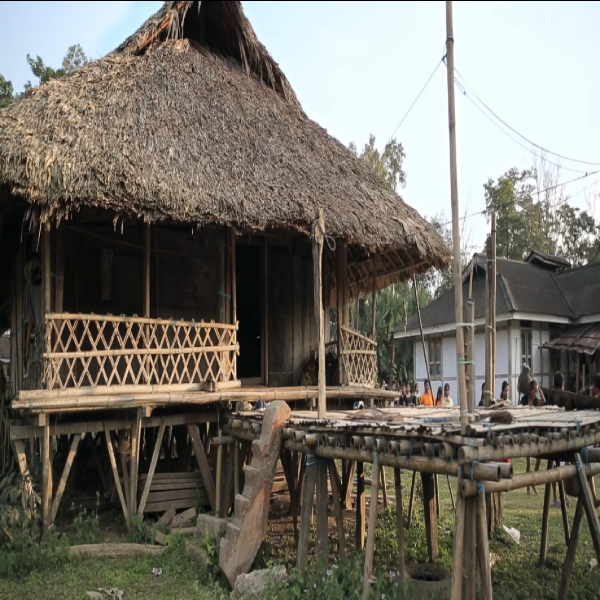House of Adi Tribe House of Adi Tribe