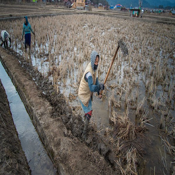 Sustainable Agriculture Sustainable Agriculture