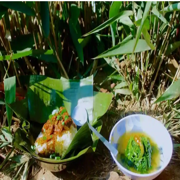 Apatani Herbs Apatani Herbs