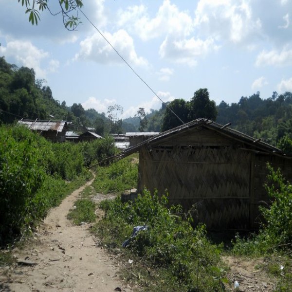 Forest of Arunachal Forest of Arunachal