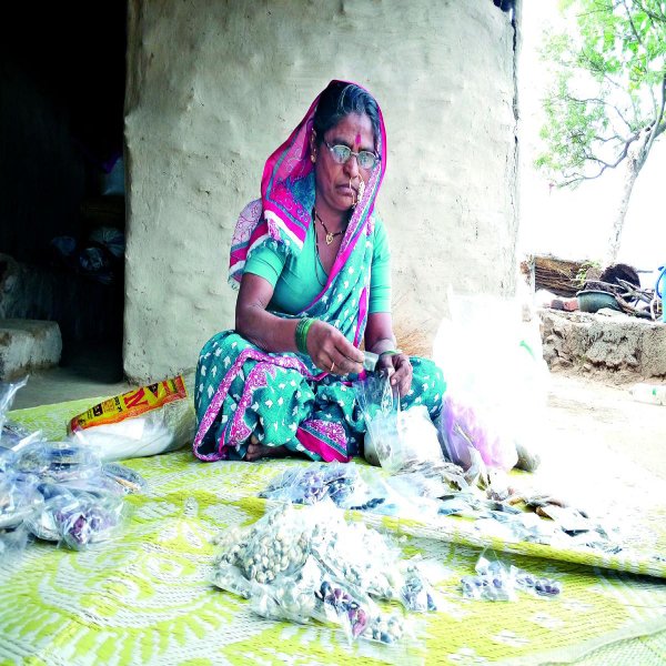 Rahibai Soma Popere Packing seeds Rahibai Soma Popere Packing seeds