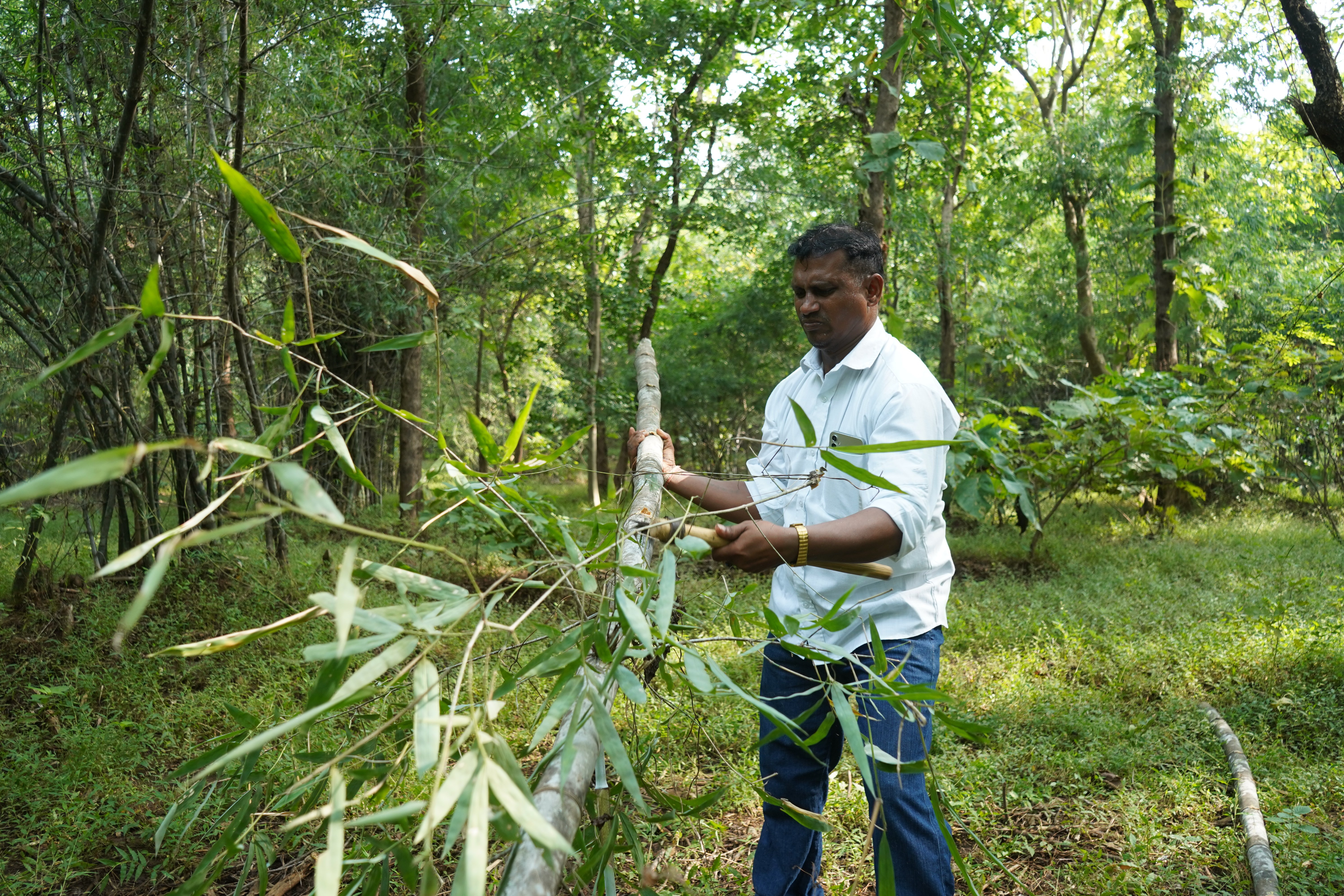 Continuing Efforts to Preserve Bamboo Craft Tradition