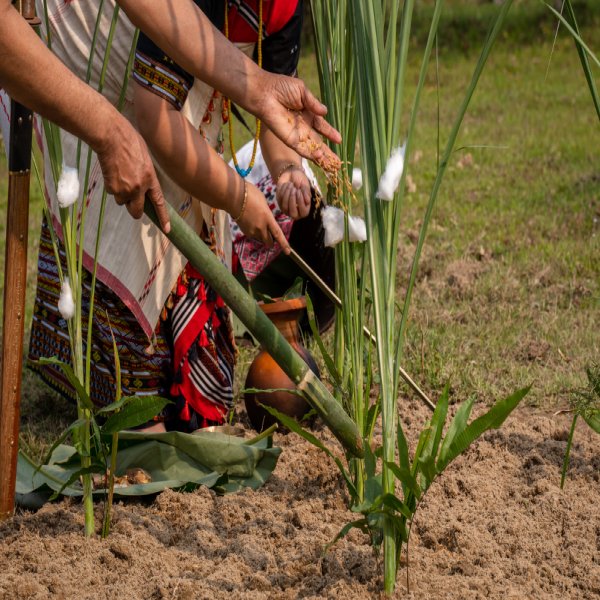 Agriculture (Ahu Paddy, Mustard, Pulses) Agriculture (Ahu Paddy, Mustard, Pulses)