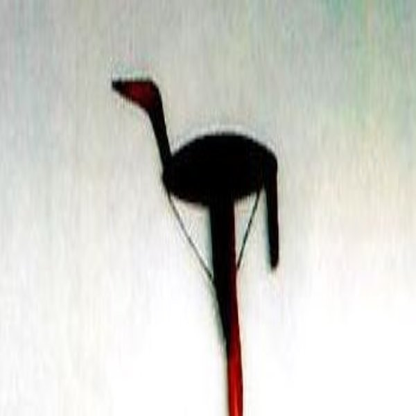 Artistic Representation of the Hornbill